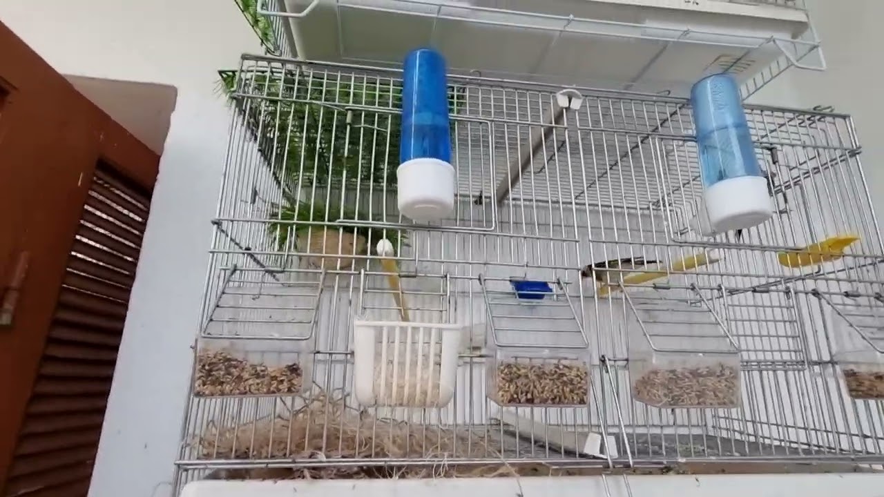 إعادة شرح أسباب عدم تخصيب البيض