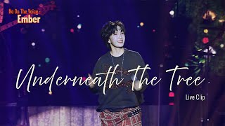[Concert] Kelly Clarkson - Underneath the Tree COVER