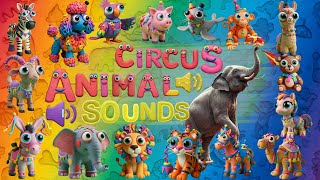 Circus Animal Sounds Song Zoo Animals From 1 To 16 Counting & Sound Song For Kids