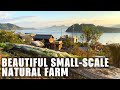 Man Creates INCREDIBLE Small-scale Sustainable NATURAL FARM