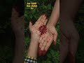 trending mehedi design ❤️ #youtubeshorts #mehndi #youtube #flowers#foryou