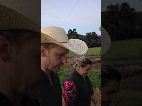 #diaadiadamulhernocampo #caminhoparaumavidamelhor