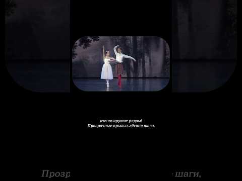 Балет «Сильфида»: история, новый танец и мифические персонажи #история #балет #танец #искусство