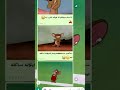 اغنيه انا مش مبينالو على توم وجيري