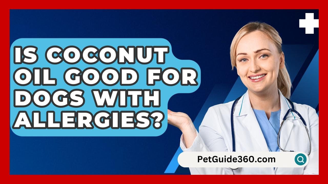Is Coconut Oil Good For Dogs With Allergies? - PetGuide360.com