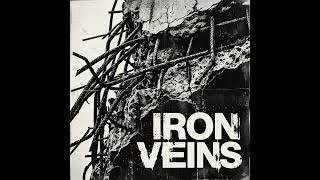 The Sound of Discipline — IRON VEINS | Billionaire Focus Music| Become Unbreakable| #music #mindset