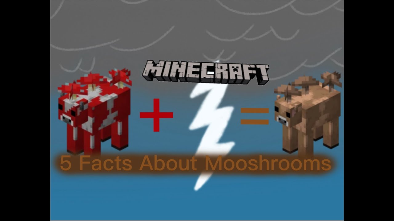 🍄 5 Cool Facts About Mooshrooms (Minecraft Video) 🐮 YouTube