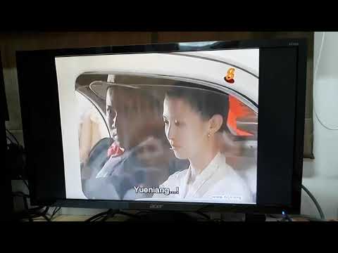 The Little Nyonya 18