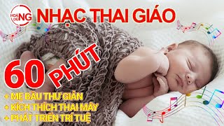 Nhạc Thai Giáo Từ 1 đến 9 tháng, Phát Triển Trí Tuệ Cho Thai Nhi, Mẹ Bầu Thư Giãn, An Thai (60 phút)
