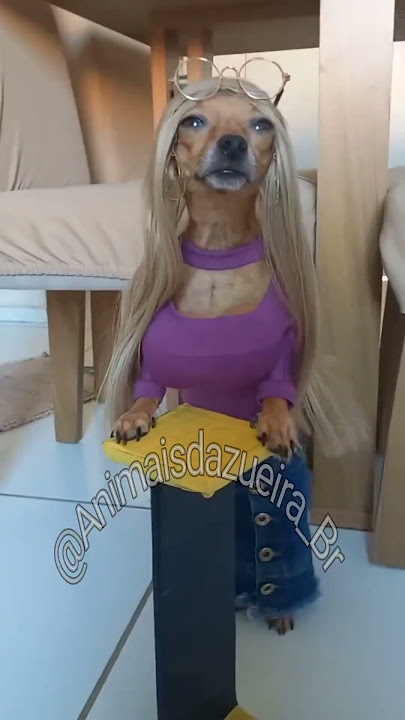 Cleitinho fubá vai na igreja assistir culto da pastora Rebeca late fino