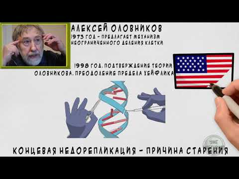 Можно ли жить