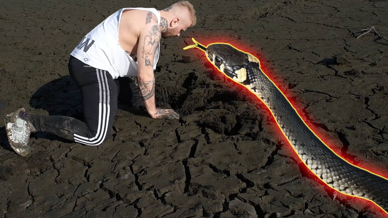 NAJWIĘKSZY POSTRACH POLSKICH JEZIOR - ZNALAZŁEM GO!