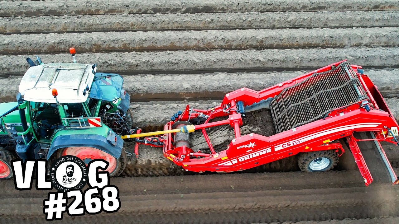 vLog268: Steine 🪨 separieren mit Grimme CS150