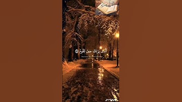 سورة الشعراء  الآية  : ٢١٧ #القران @alquran_hidayaa