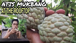 ATIS | CUSTARD APPLE | SWEETSOP | SUGAR APPLE | Atis Mukbang At The Rooftop Of Our Dirty Kitchen ATIS | CUSTARD APPLE | SWEETSOP | SUGAR APPLE | Atis Mukbang At The Rooftop Of Our Dirty Kitchen