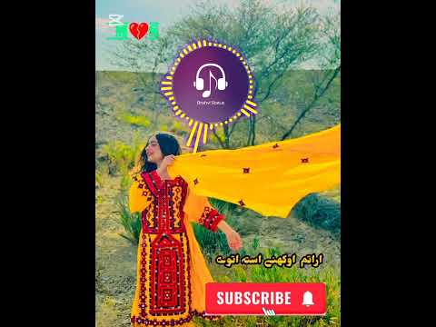 Basit Zaib Best Song Noorhayat Alimmasroor Balochisong Balochimusic