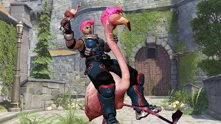 Overwatch: Flamingo Like Reflexes