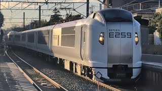 E259系Ne021編成［#特急しおさい5号銚子行 ］旭駅2番線入線