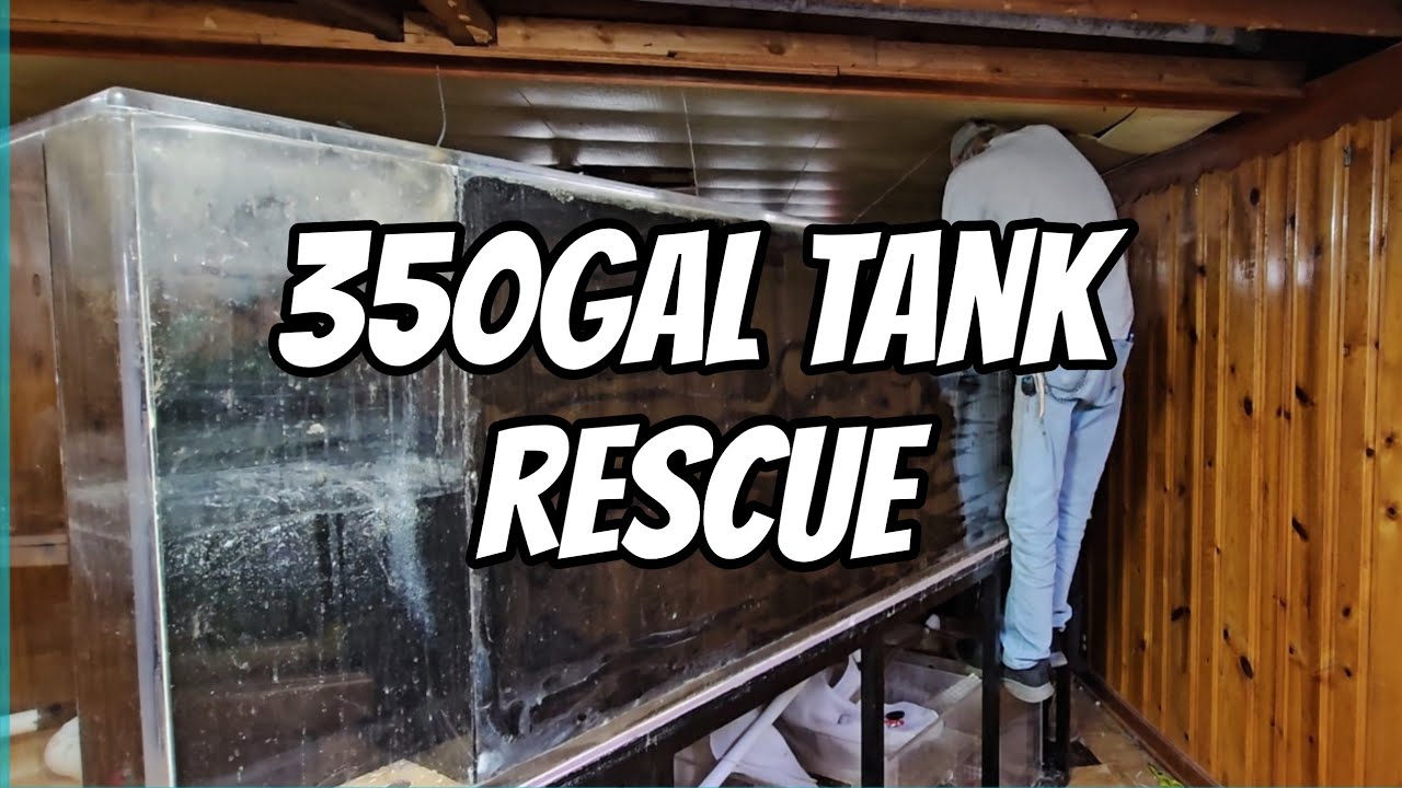300gal Tank and Stand Rescue 