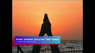 R-Tem - Voiceless (Forty Cats \