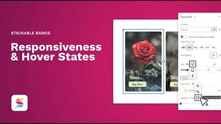 Stackable: Responsiveness & Hover States