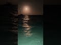 Shark👀 don’t forget watch full vlog🙌