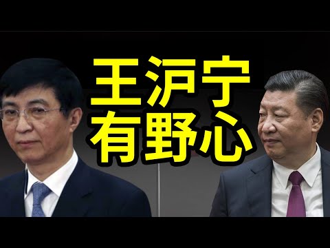 政局微妙，王沪宁旧书突然暴涨！他想当总书记？对美国的误判。国会山余波