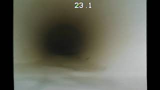 26081802