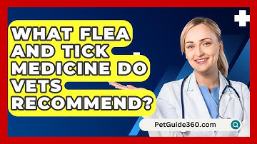 What Flea And Tick Medicine Do Vets Recommend? - PetGuide360.com
