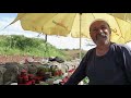 The Golan Heights of Israel / Le Alture del Golan di Israele - Edited by Carmine Salituro