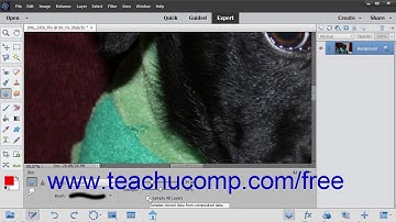 Photoshop Elements 2019 Tutorial Blurring & Sharpening Images Adobe Training