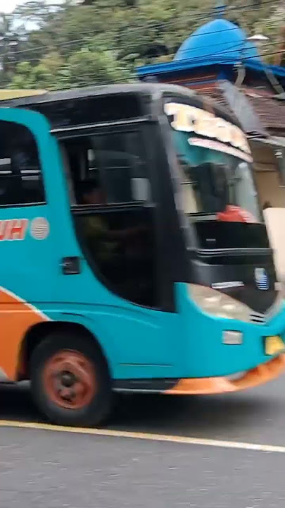 BUS MEDIUM TEGUH, BUS BALAPE PURWOKERTO WONOSOBO #bismania #youtuber