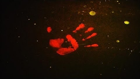 How to Find Fingerprints Literally Anywhere