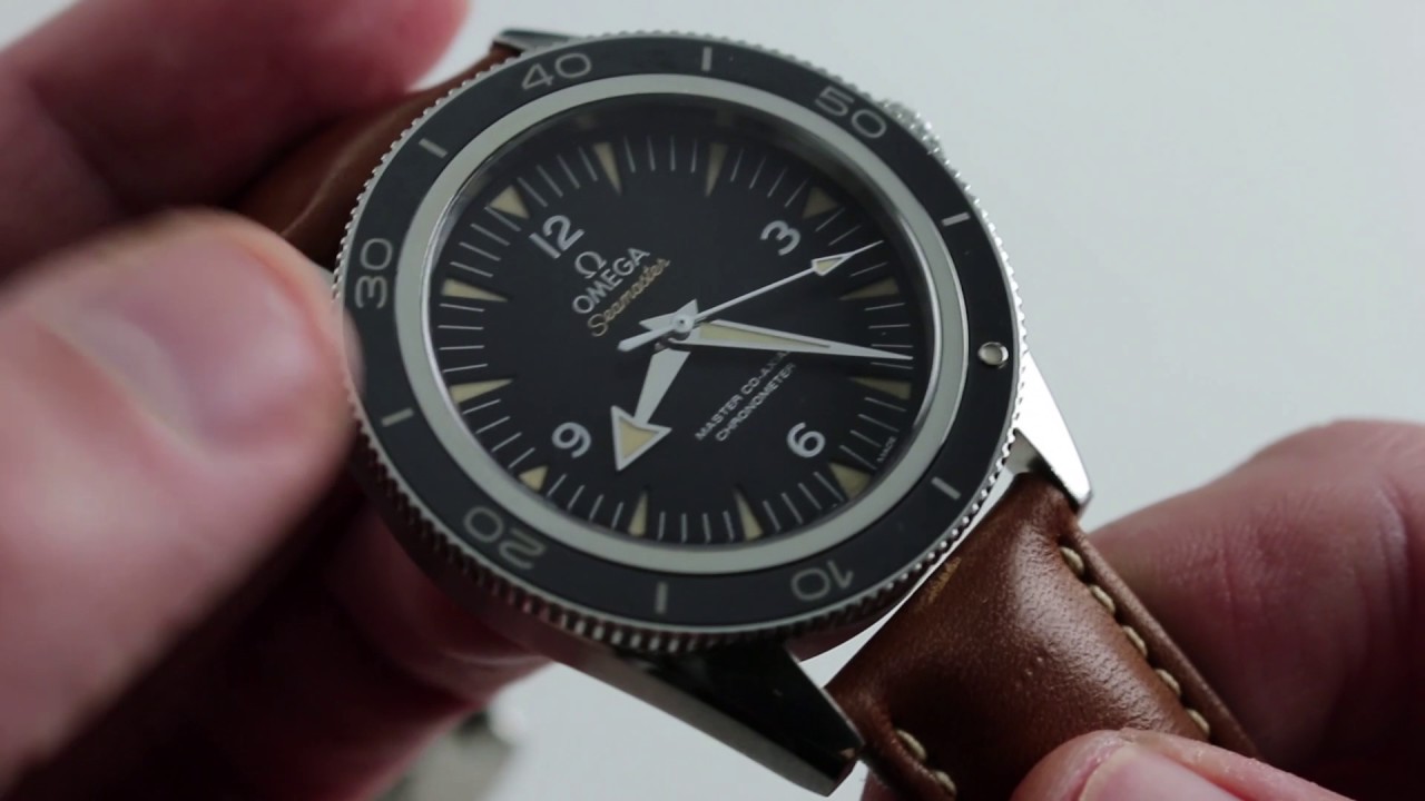 seamaster 300 leather strap