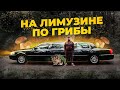 Lincoln Town Car | Лимузин на каждый день