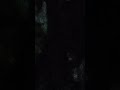fun timepass #nothing #funny #youtube #shorts