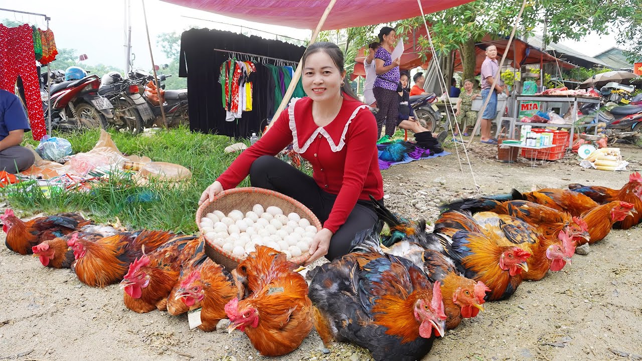 Harvesting 1000+ Chickens And Chicken Eggs Go To Countryside Market Sell - Farm Life