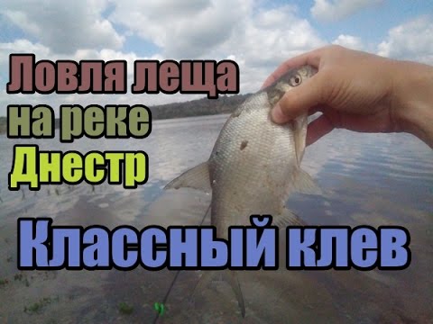 Клева не было. Клева сегодня не будет клева было вчера. Клевое место логотип. Клёвый клёв магазин спб. Клевое место веселый.