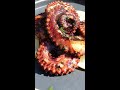 How to Make Grilled Octopus