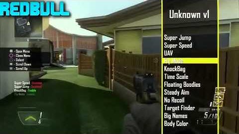 Black Ops 2 1.16 Project Unknown CEX/DEX + Download