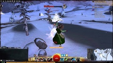 Guild Wars2, installation on Play On Linux, Ubuntu 15.04