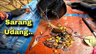 Download Lagu Jika tak angkat lukah ni... Pasti tak merasa macam ini hasilnya‼️ MP3