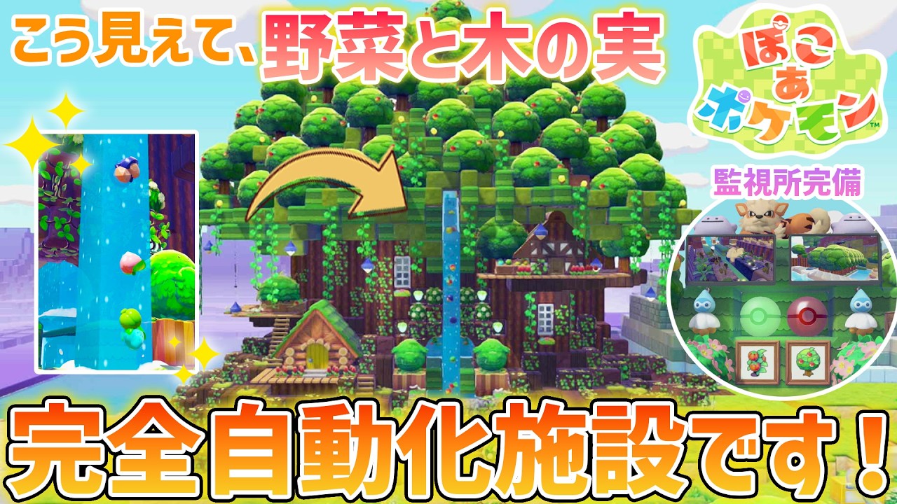 ぽこポケ】さらさらいわ使って野菜と木の実完全自動化の世界樹作って