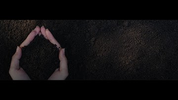 SAVE SOIL NOW | EASY STEPS TO JOIN META FORCE | COMPLETE GUIDE GIVEN BELOW VIDEO DESCRIPTION