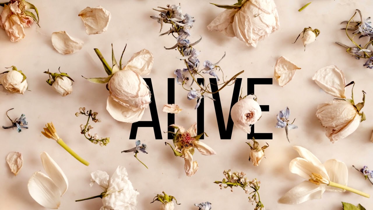 Pista para escribir canciones Disco Indie Pop Type Beat - "Alive" | Guitar Indie