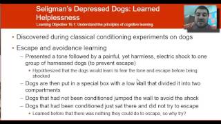 Module 16: Cognitive Learning and Observational Learning