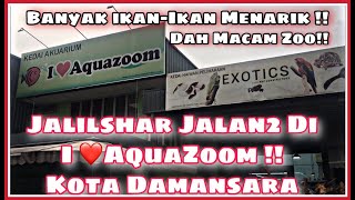 Jalilshar Jalan Jalan Beli Ikan Di I Love Aquazoom Kota Damansara Youtube