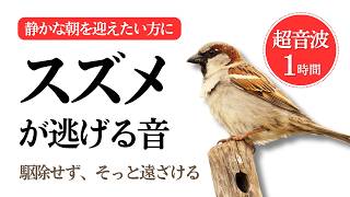 スズメが逃げる音(1時間)。スズメの鳴き声・糞対策に。超音波でスズメを遠ざけるやさしい方法