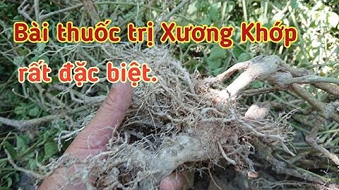 Bài thuốc trị thoái hóa xương khớp rất đặc biệt.