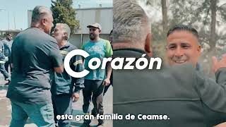 Plimos Un Año De Gestión